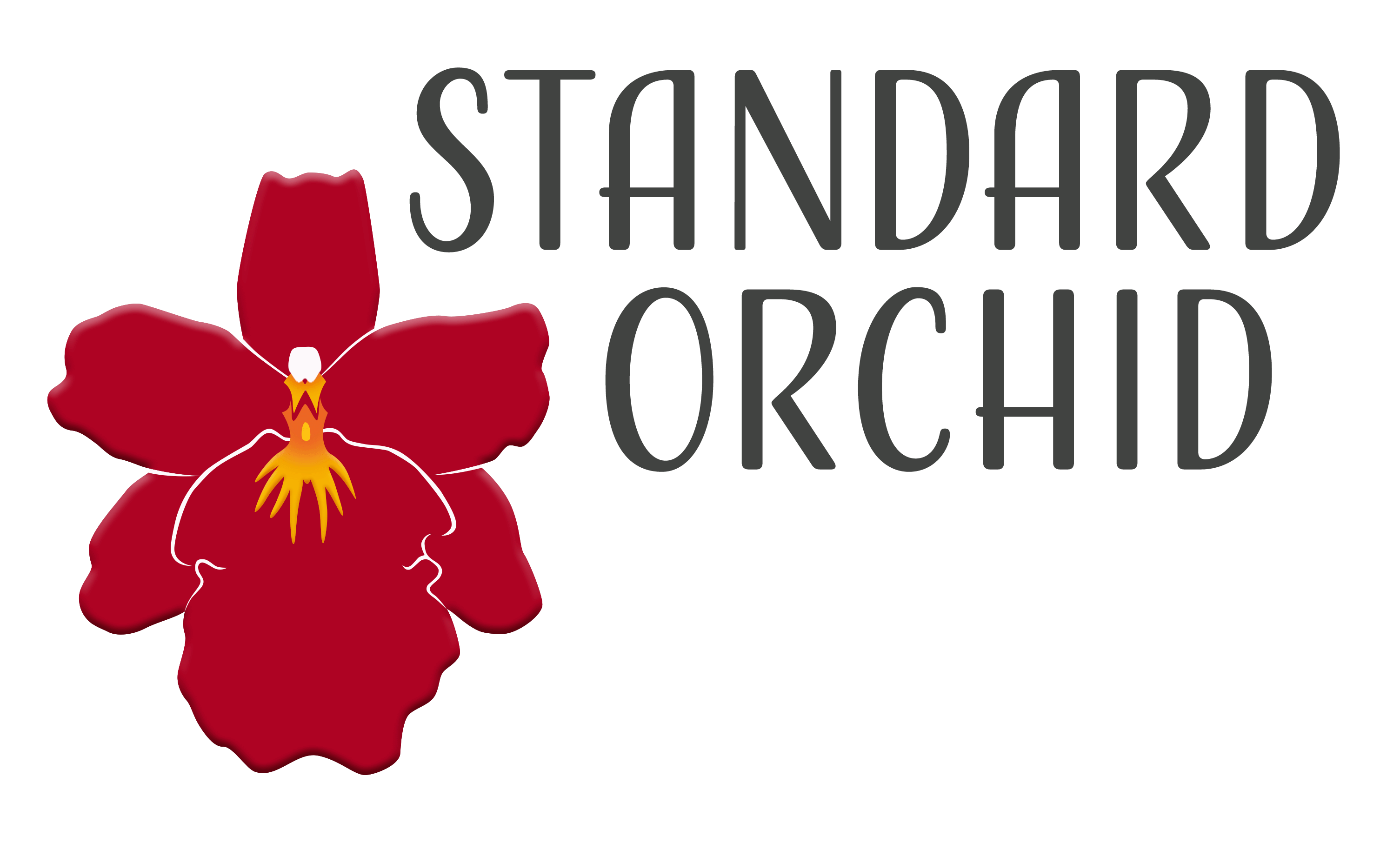 Standard Orchid
